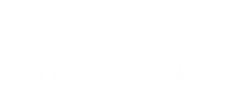 عميل 2